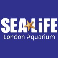 Sea Life