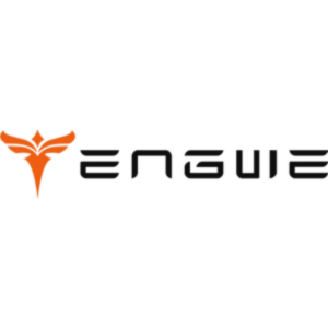 Engwe Bikes DE