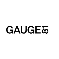 Gauge81
