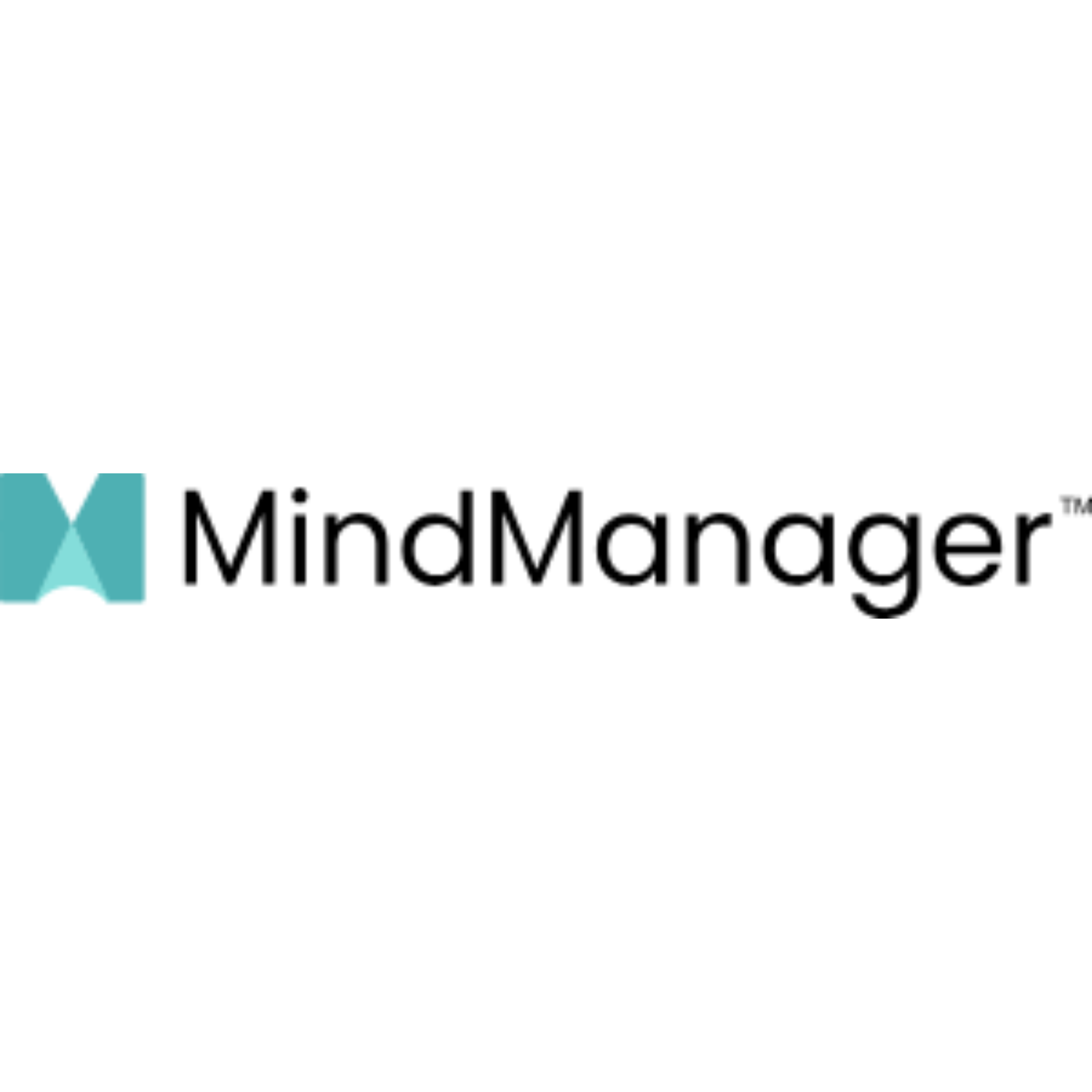MindManager