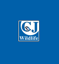 BirdFood UK